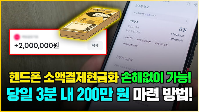 소액결제 정책